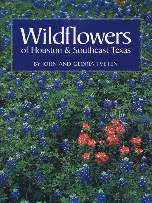 Cover image for Wildflowers of Houston and Southeast Texas